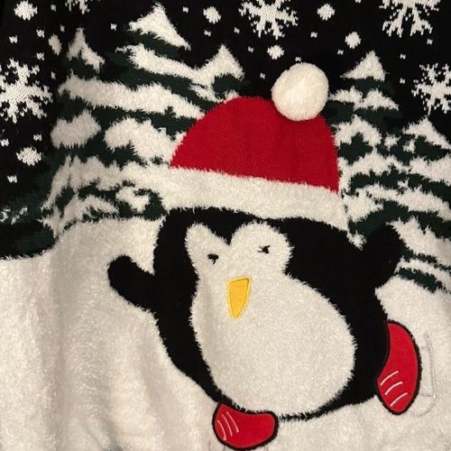 Penguin on a Christmas jumper