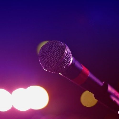 Karaoke microphone